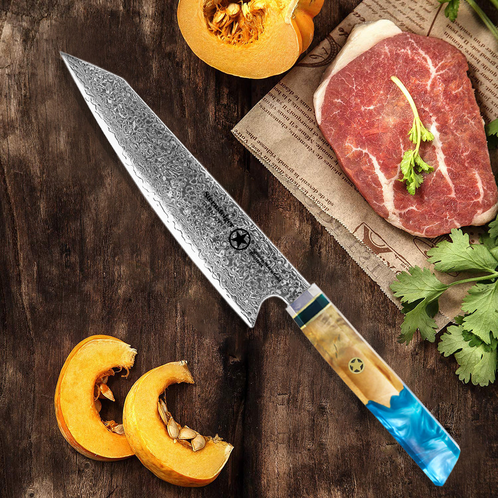 Sternsteiger Karnival | Gyuto Damastmesser-1