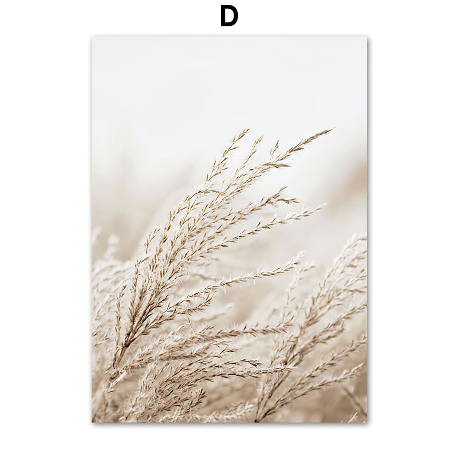 Poster Meer Pampasgras Beige I Wandbilder Wohnzimmer & Schlafzimmer I Deko Print Bilder I ohne Rahmen-6