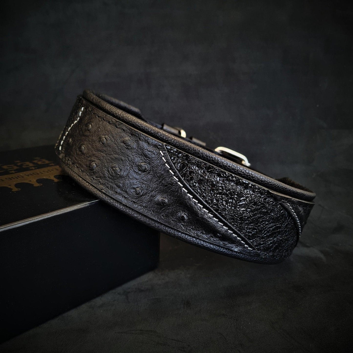 Das "Korona" Halsband BLACK EDITION-0