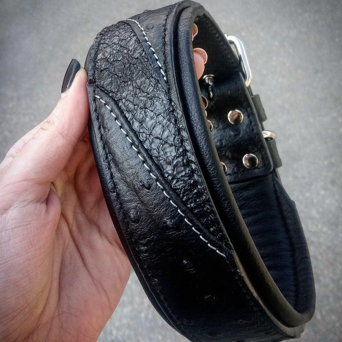Das "Korona" Halsband BLACK EDITION-1