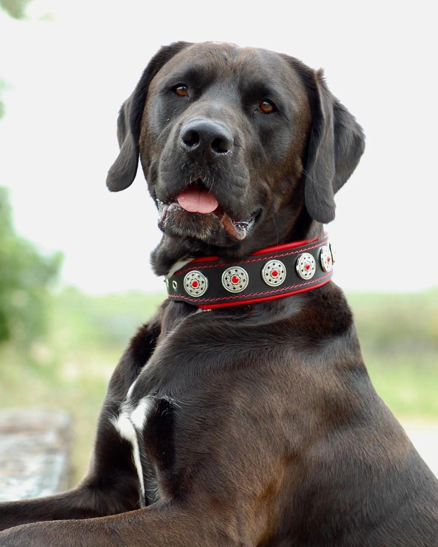 "Bijou" Halsband Schwarz & Rot-1