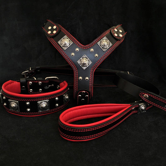 "EROS" großes Hundeset – Geschirr, Halsband, Leine in Schwarz & Rot-0
