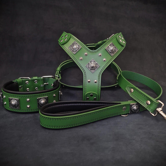 "EROS" großes Hundeset – Geschirr, Halsband, Leine in Grün-0