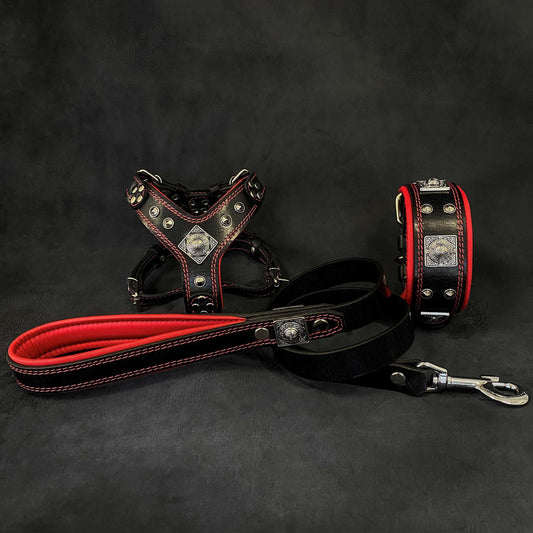"EROS" Set für kleine bis mittelgroße Hunde – Geschirr, Halsband, Leine in Schwarz & Rot-0