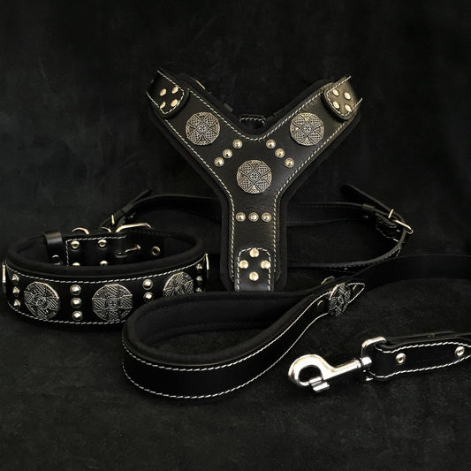 "Maximus Silver" großes Hundeset – Geschirr, Halsband, Leine in Schwarz-0