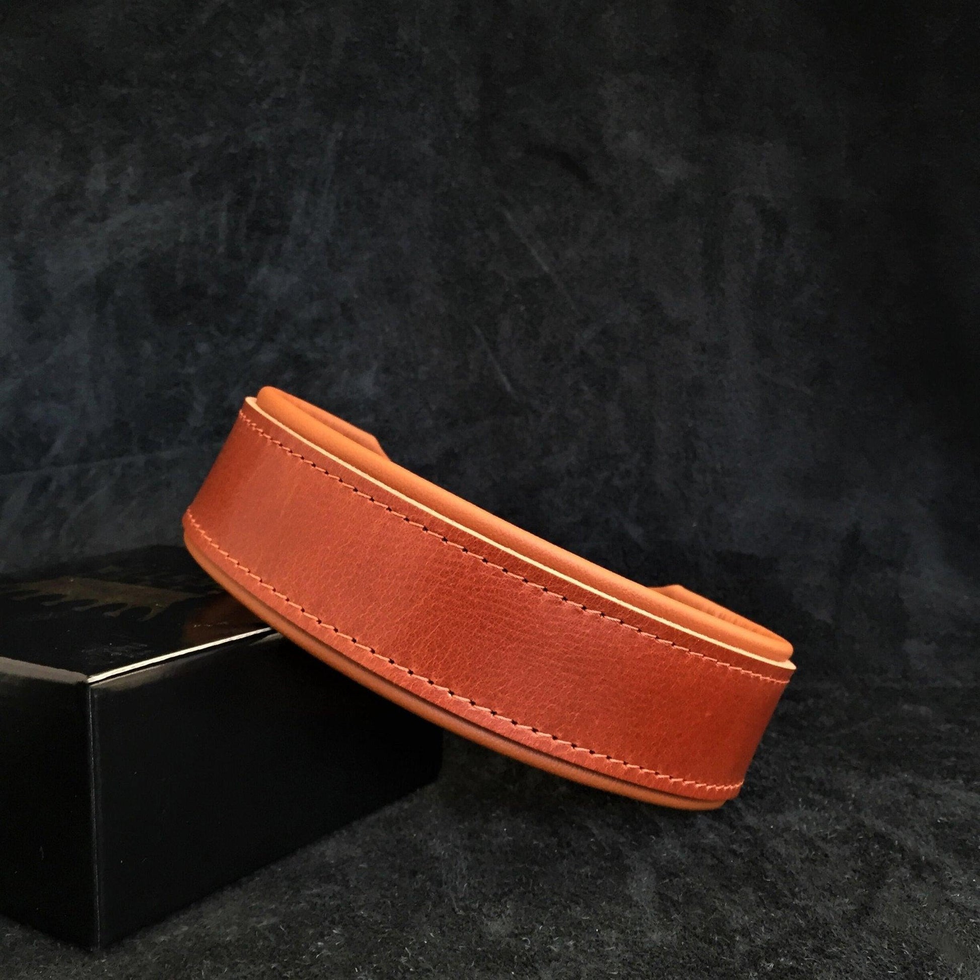 "Stylisch" – Hundehalsband mit einer Breite von 5 cm-1