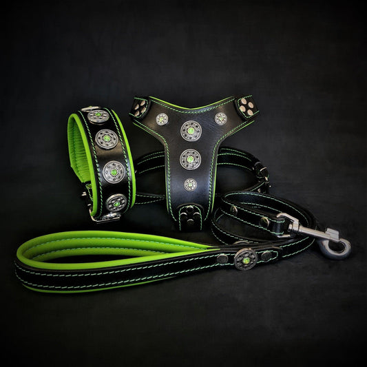 Das große „Bijou“ Set – Halsband, Geschirr & Leine in Grün-0