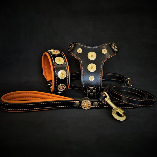 Das „Bijou“ Set – Halsband, Geschirr, Leine in Orange-0