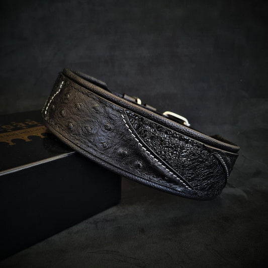 Das "Korona" Halsband BLACK EDITION-0